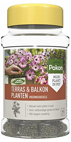 Pokon Düngertabletten für Terrasse und Balkon, 40 stück