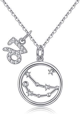 Qings Sternzeichen Anhänger Halskette 925 Sterling Silber Steinbock Delicate Wunderschöne Disc Horoskop Halskette Junge Erwachsene Persönliche Geschenke