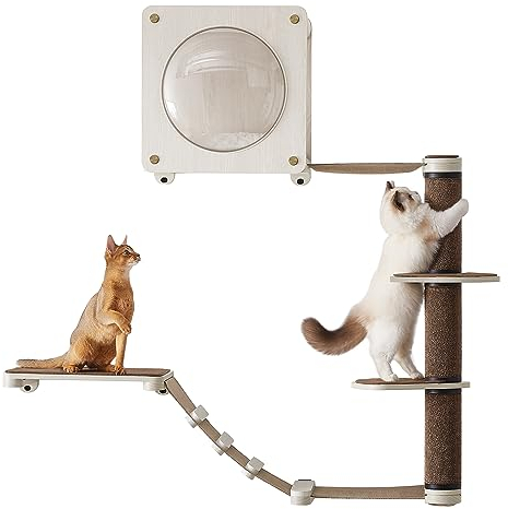 Feandrea Clickat Oasis - Meuble Mural pour Chat, Ensemble de 5 Pièces, Montage Hyper Rapide, Extensibilité Illimitée, Module et Pièces Remplaçables, Étagère Murale, Hamac, Poteau à Griffer, Niche