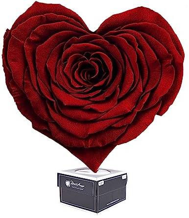 Ewige Rose Infinity Rosen in Geschenkbox Deko Rosenblätter getrocknet Echte konservierte Rosen Rosenkopf Rosenbox Muttertagsgeschenk (Geschenkbox Herz Dunkel Rot)