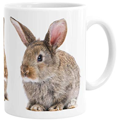 Merchandise for Fans Becher aus Keramik - 330 ml Motiv: Kaninchen zwei braune Jungtiere (02)