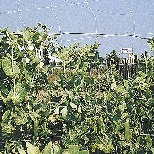VERDELOOK Rete per Rampicanti Rampy Mini Rotolo, 1.2x100 m, per Coltivazione Ortaggi, Rete per Orto e Recinzioni