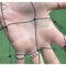 BIRD-TECH Filets Anti Pigeons 5x5 Metre (Noir)