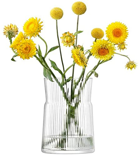 LSA International Gio Line Laterne/Vase, Glas, Clear, H18.5cm