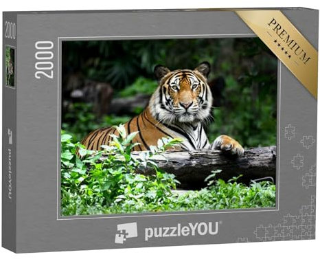 puzzleYOU: Puzzle 2000 Teile „Bengalischer Tiger“ – aus der Puzzle-Kollektion Tiger, Tiere in Savanne & Wüste