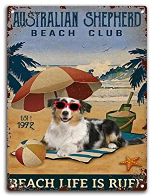 Snowsun Metallschild Australian Shepherd Beach Club Lustiges Retro Vintage Aluminium Schild für Haus Garten Kaffee Wanddekoration Metall Blechschild 20,3 x 30,5 cm
