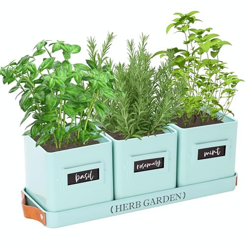 PERFNIQUE - Indoor Herb Garden Planter Set with Tray Farmhouse Style Herb Garden with Drainage (Pot Only) for Indoor Outdoor Window, Mint Green