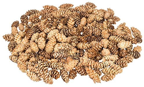NaDeco Douglasien-Zapfen, ca. 5-8cm, 1kg, ca. 150 STK. | Pseudotsuga menziesii | Tannenzapfen | Douglasienzapfen | Kiefernzapfen | Tannen-Zapfen | Naturzapfen | Weihnachtsdeko | Adventsdeko