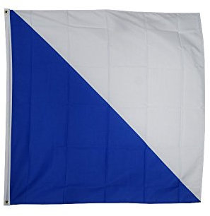 Digni Bandiera Svizzera Canton Zurigo - 120 x 120 cm Sticker Gratis