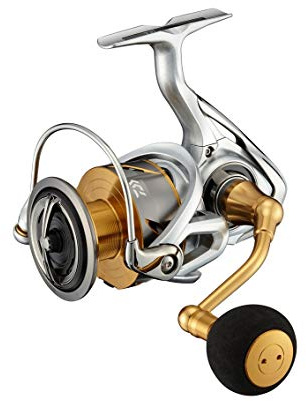 Daiwa 21 FREAMS LT 4000C