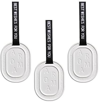 Lot de 3 diffuseurs d'arômes en pierre de bricolage parfumés solides pour plaque de placard de voyage Blanc