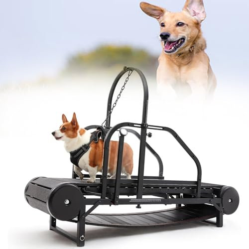 Lakenbroade Hundelaufband für mittelgroße Hunde, Hundelaufmaschine, Trainingsgerät für große Hunde im Innenbereich