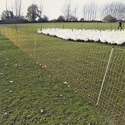 Geflügel 112/2–50 m Geflügelnetz