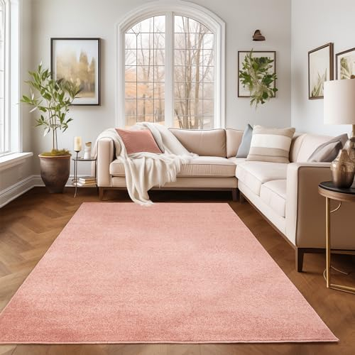 Tapis à Poils Ras, Unicolor - Monochrome, Tapis Rose, 120 x 170 cm, Tapis de Style Moderne, Tapis Salon