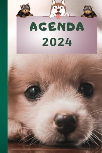 AGENDA 2024: thème chiens grands et petits, avec plages horaires de 7h à 19h, 194 pages, belles illustrations de mignons chiens