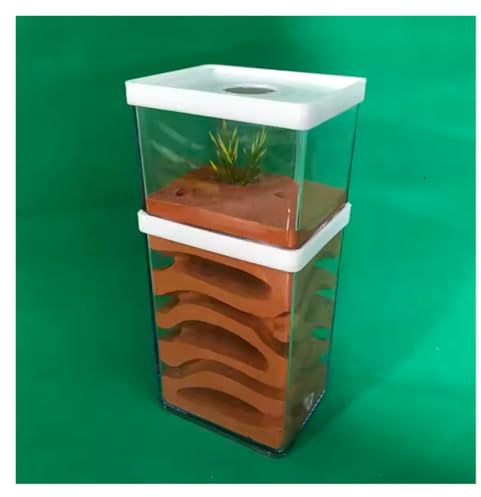 IWENZHKPA Ameisen Terrarium Ant Castle Transparent Kunststoff Ant Farm Gips Ant Werkstatt Ant Nest Farm Fütterung Box Ant Nest Castle Formicarium