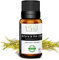 Huile Essentielle Arbre à thé (Tea Tree) - 5ml