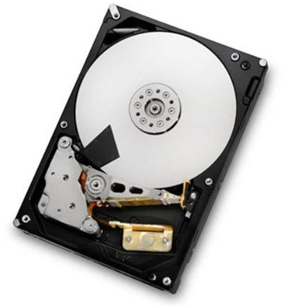 'HGST Deskstar Disque dur H3IK40003272SE – Disque dur – 4 To – interne – 8,9 cm + BX-3801STB 8,9 cm Disque dur externe Étui en noir