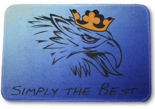 Fußmatte Logo Scania, 60x40cm Waschbar Universell einsetzbar | LKW-Fußmatte, Teppich | Schmutzfänger LKW, PKW, Wohnung | Universal Auto-Matte, Autofußmatte, Zubehör fürs Truck-Fahrerhaus
