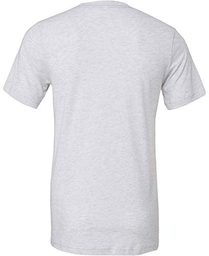 Canvas Mens Triblend Crew Neck Plain Short Sleeve T-Shirt (L) (Red Triblend)