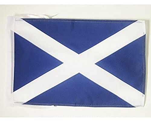 AZ FLAG - Drapeau Ecosse - 45x30 cm - Pavillon Écossais 100% Polyester Avec Deux Cordelettes - 20g