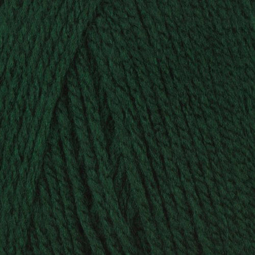 Robin DK 100g - Forest (045)