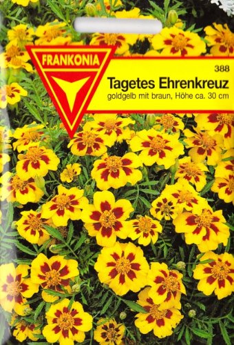 Tagetes, Ehrenkreuz, Tagetes patula nana, ca. 150 Samen