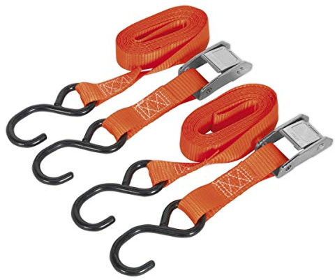 Sealey Cam Buckle Strap 25mm x 2.5m Polyester Webbing with S-Hooks 250kg Breaking Strength - TD2525CS