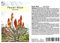 Seedeo® Feuer-Aloe (Aloe ferox) 20 Samen