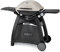 Weber 56060053 Weber Q 3000 Barbecue à Gaz Titane