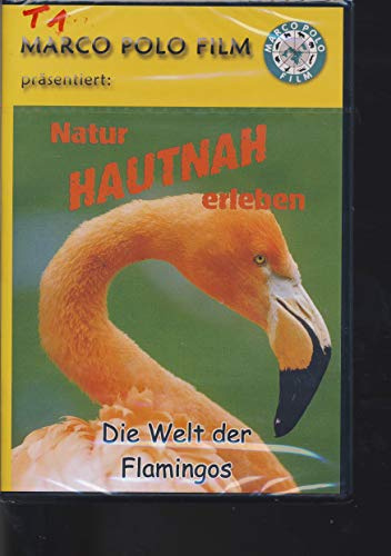 Die Welt der Flamingos