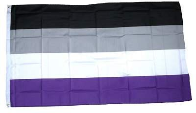 Flagge Fahne Asexuell 90 x 150 cm FLAGGENMAE®
