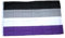 Flagge Fahne Asexuell 90 x 150 cm FLAGGENMAE®