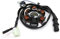 Lichtmaschine Stator Zündung für Peugeot Speedfight 1 2 AC LC, Vivacity, Buxy, Elyseo TKR, Trekker 50 100