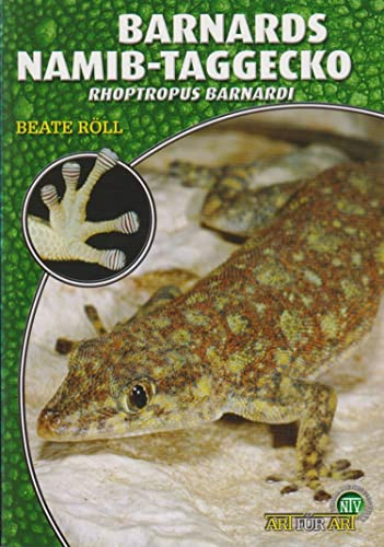 Barnards Namib-Taggecko: Rhoptropus barnardi (Art für Art)