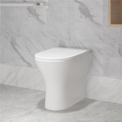 Biubiubath Back to Wall Round Toilet Ceramic Soft Close Seat Modern Bathroom BTW WC Pan