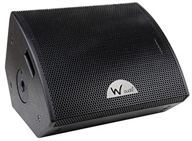 W-Audio SM12 12 250W Passive Stage Monitor