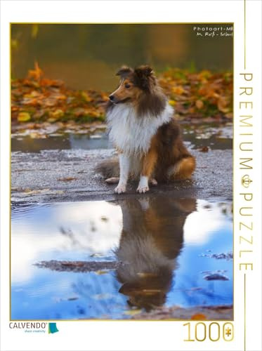 CALVENDO Puzzle EIN Motiv aus dem Kalender Mit Shelties durchs Jahr | 1000 Teile Lege-Größe 48 x 64 cm Foto-Puzzle für glückliche Stunden