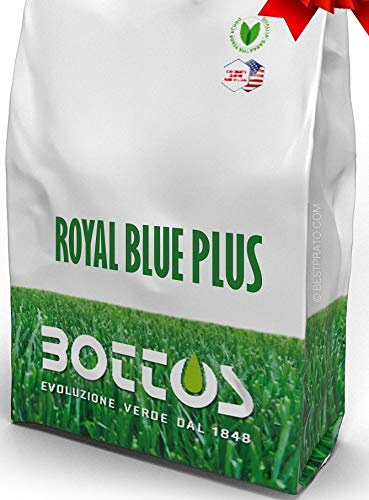 BANERJEE AZUL REAL PLUS 10 KG