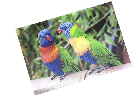 3 D Ansichtskarte Loris, Postkarte Wackelkarte Hologrammkarte Tier Vogel Vögel Lori