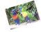3 D Ansichtskarte Loris, Postkarte Wackelkarte Hologrammkarte Tier Vogel Vögel Lori