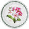 Portmeirion Exotic Botanic Garden Speiseteller mit Orchideen-Motiv von Portmeirion