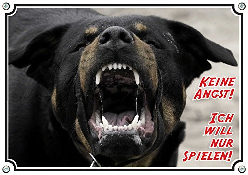 Petsigns Hundewarnschild Rottweiler - lustig - stabiles Metallschild, DIN A4