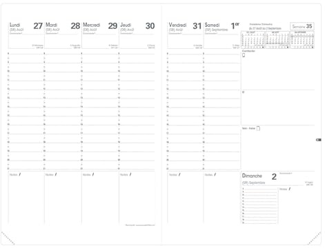 QUO VADIS - Nachfüllpack für 16 Monate – 2025 – 2026 – SD-Planer – Wochenkalender – Französisch – 16 Monate September bis Dezember – 18 x 24 cm – weißes Papier
