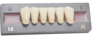 Dents Artificielles - INCISIVE DU BAS (6 dents)