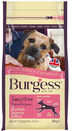 Burgess Sensitive Hypoallergenic Dog Food Scottish Salmon and Rice 2 kg (Pack of 2)