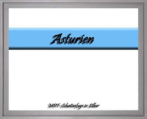 MDF-Leerrahmen ASTURIEN speziell für Leinwandbilder BZW. Keilrahmenbilder im Format 29 x 37 cm. Schattenfugenrahmen in der Farbe: Silber. 10 Farben zur Auswahl