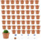 Lot de 50 mini pots de fleurs ronds en plastique avec trous de drainage, parfaits pour semis, légumes, herbes, plantes grasses et plantes de jardin (finition terre cuite mate)
