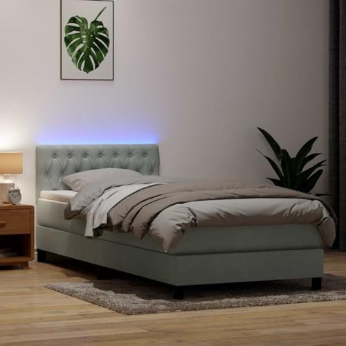 Kaloriko Boxspringbett Hellgrau 90x210 cm Samtstoff, Taschenfederkern-Matratze, Komfort-Matratzenauflage, Verstellbares Kopfteil, Integrierte LED-Beleuchtung für Schlafzimmer