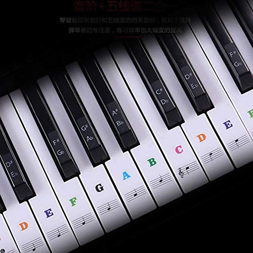 Alnicov Piano Keyboard Stickers for 88/61/54/49/37 Keys,Leave No Residue,Removable Piano Key Stickers for Piano Beginners Learning Piano or Keyboard
